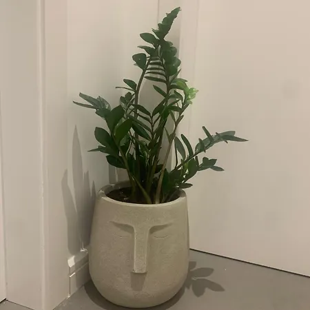 شقة فندقية Escape ديرمي