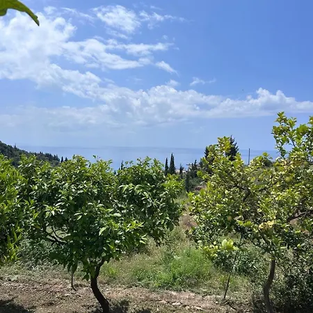 Escape شقة فندقية 3*