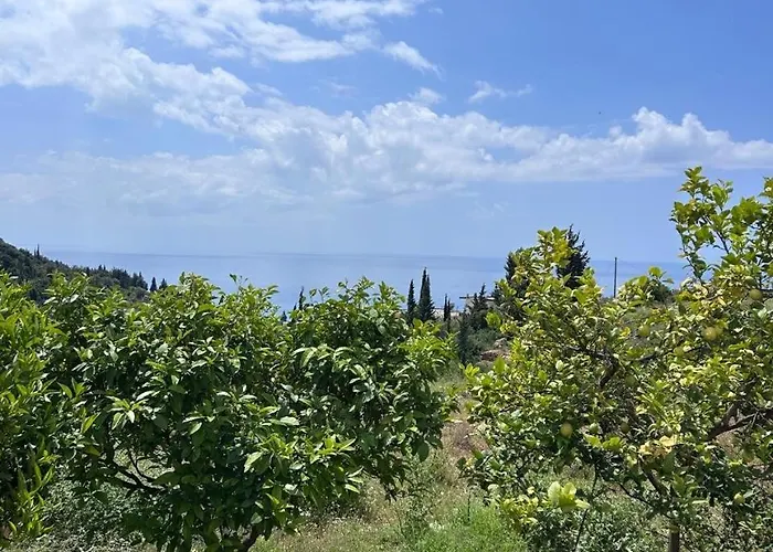 Escape Lejlighedshotel 3*