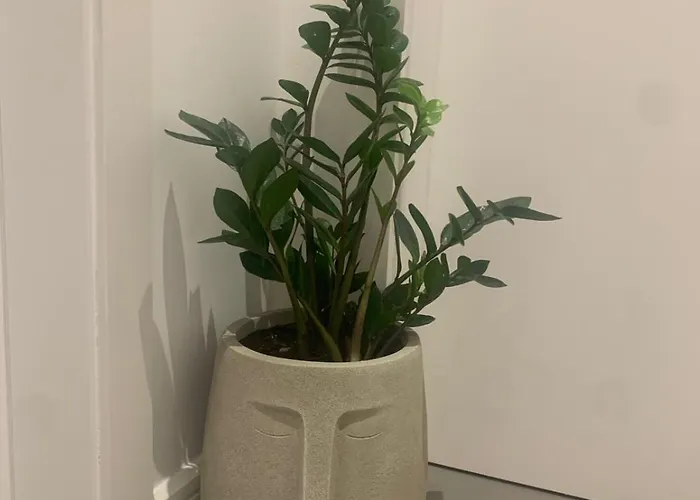 Aparthotel Escape Dhërmi